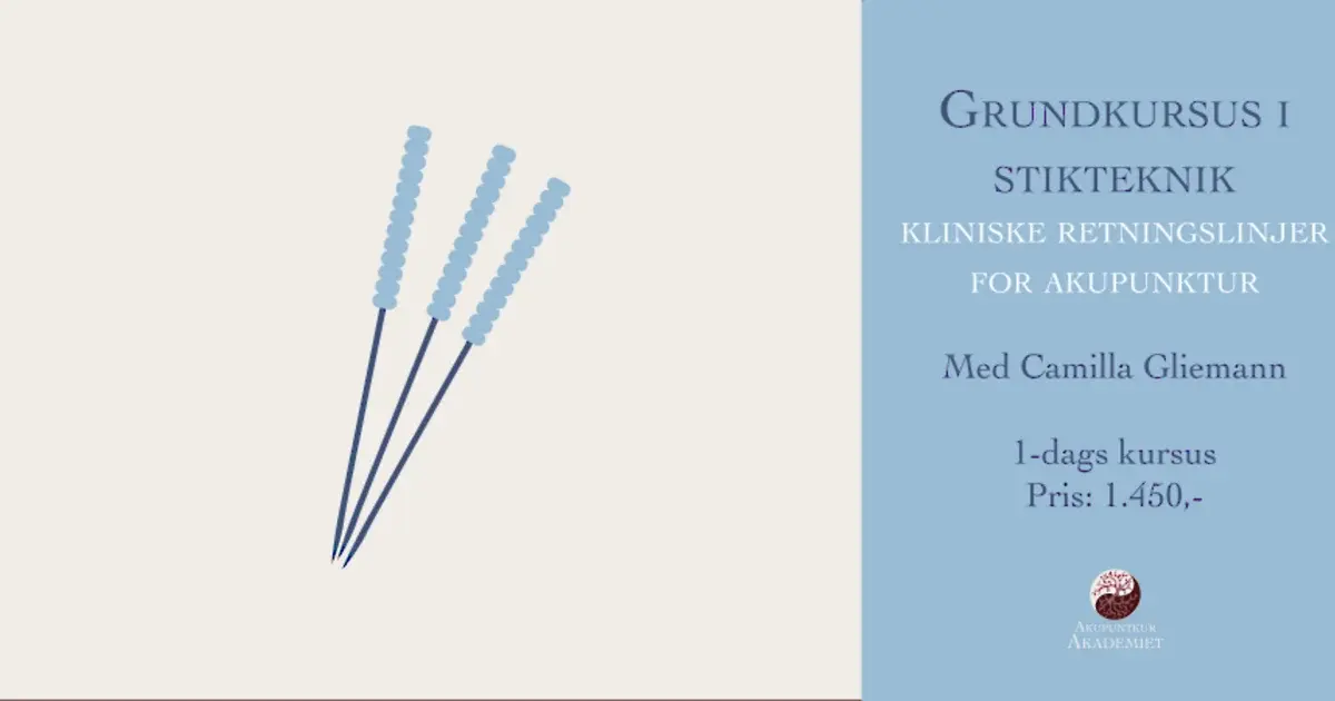 Grundkursus i stikteknik - kliniske retningslinjer for akupunktur