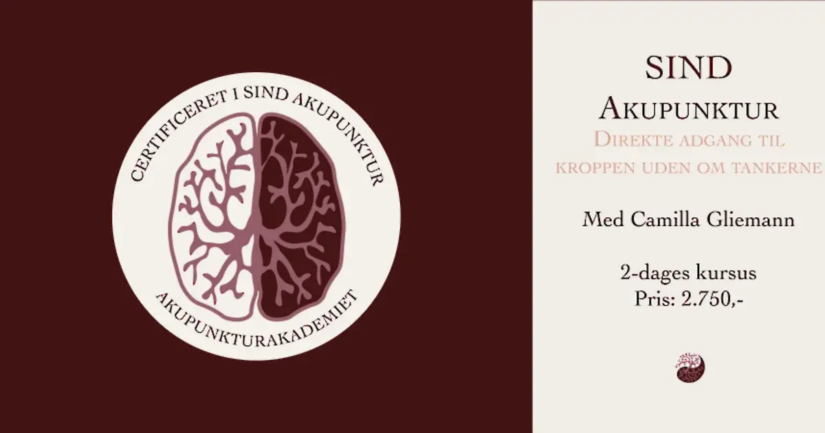 Bliv certificeret i SIND Akupunktur